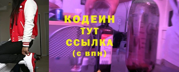 соль ск Арсеньев