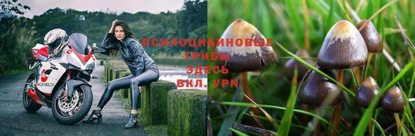 винт Аркадак