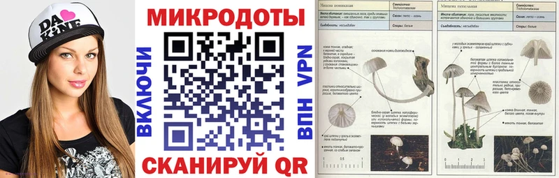 дарнет шоп  гидра ссылка  Галлюциногенные грибы Cubensis  Обнинск 
